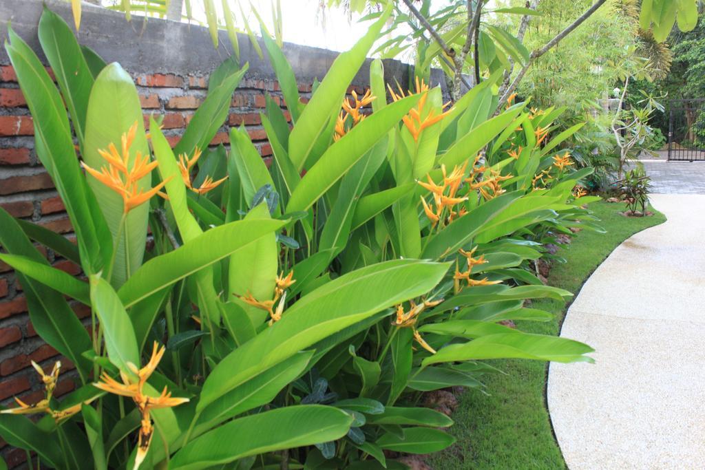 Albany Home Stay Kuta  Dış mekan fotoğraf